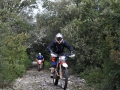 Pfade_in_den_Büschen_[4]